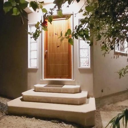 New! Casa Xola Cenote And Fauna Loft Cozumel Exterior photo
